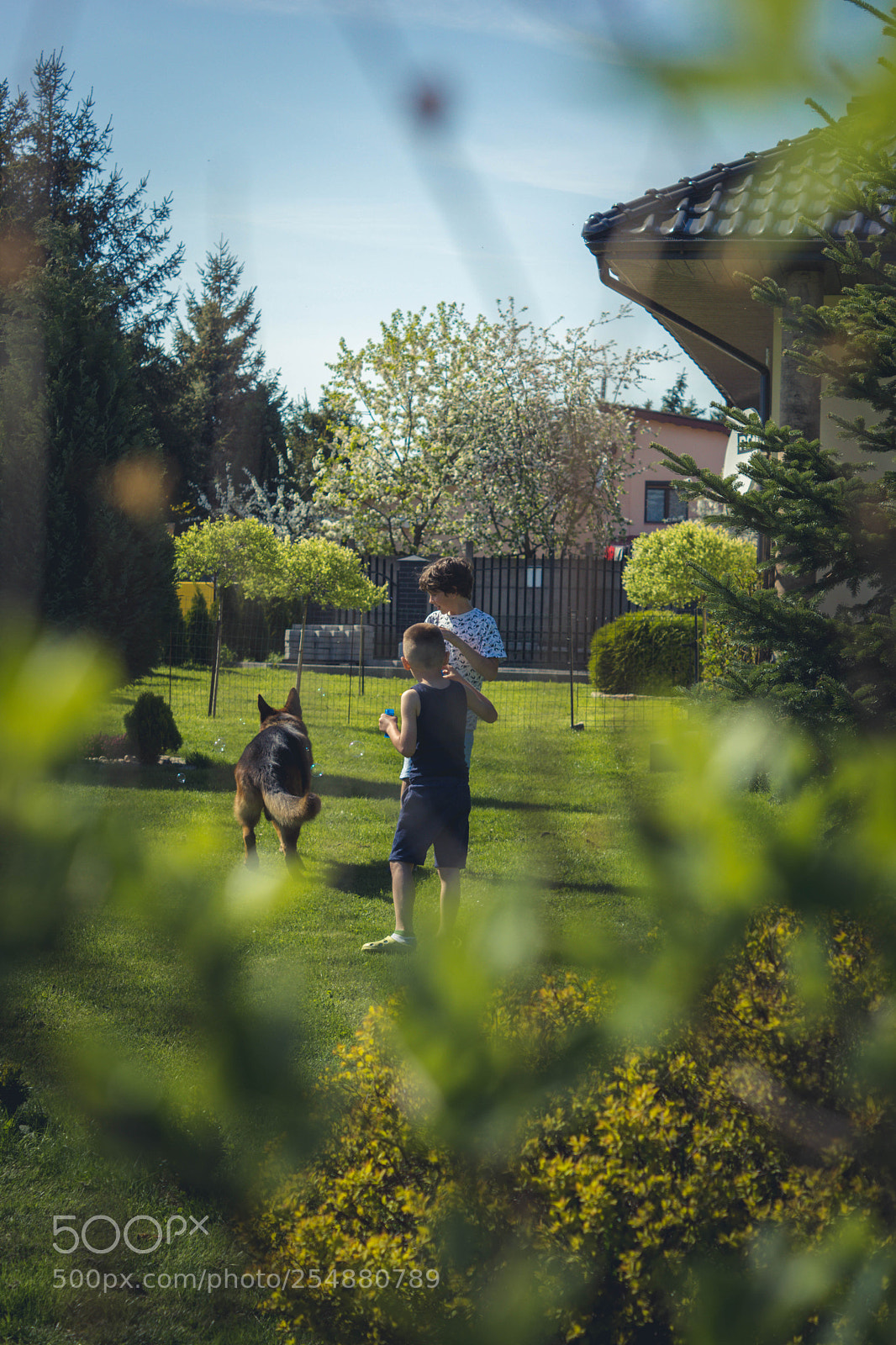 Sony SLT-A65 (SLT-A65V) sample photo. Having fun photography