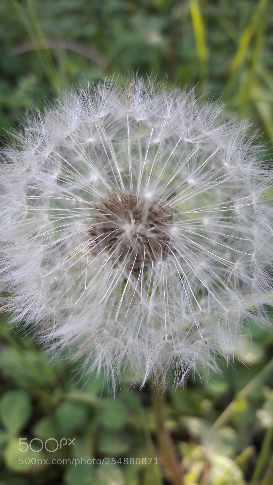 Samsung Galaxy J7 sample photo. Untitled photography