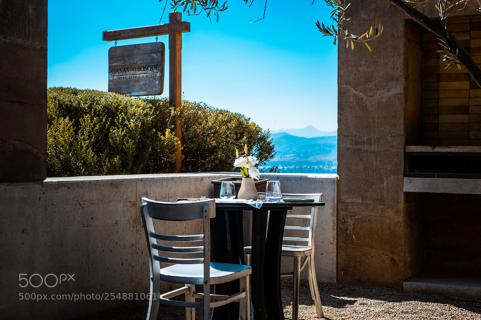 Nikon D7200 sample photo. Disfrutando del vino y photography