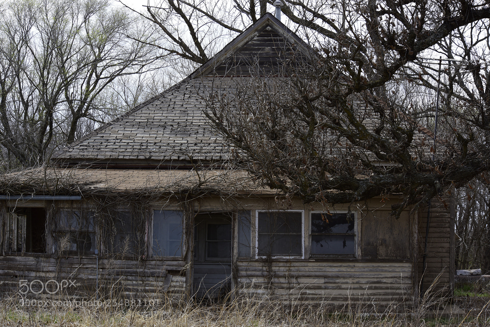 Nikon D810 sample photo. Old farm house in photography