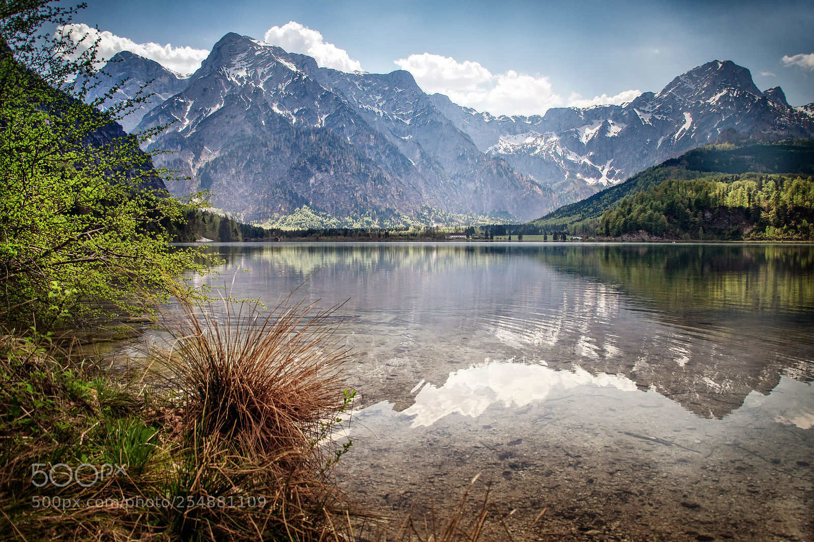 Sony SLT-A58 sample photo. Almsee photography