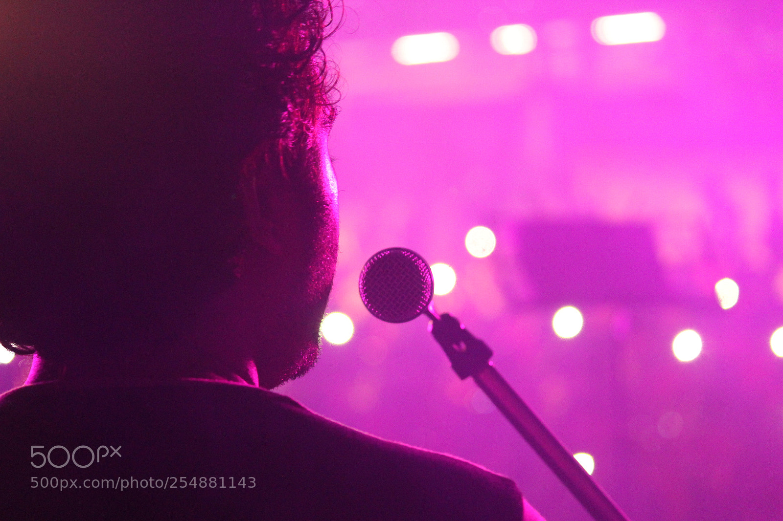 Canon EF-S 55-250mm F4-5.6 IS II sample photo. Twilight singer photography