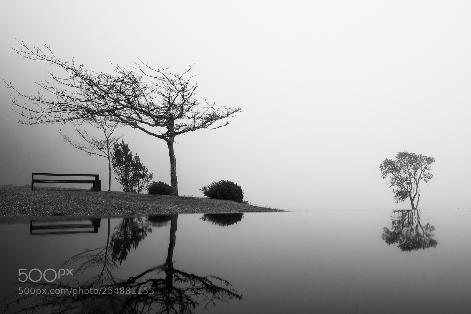 Sony a7R III sample photo. Wet bench photography