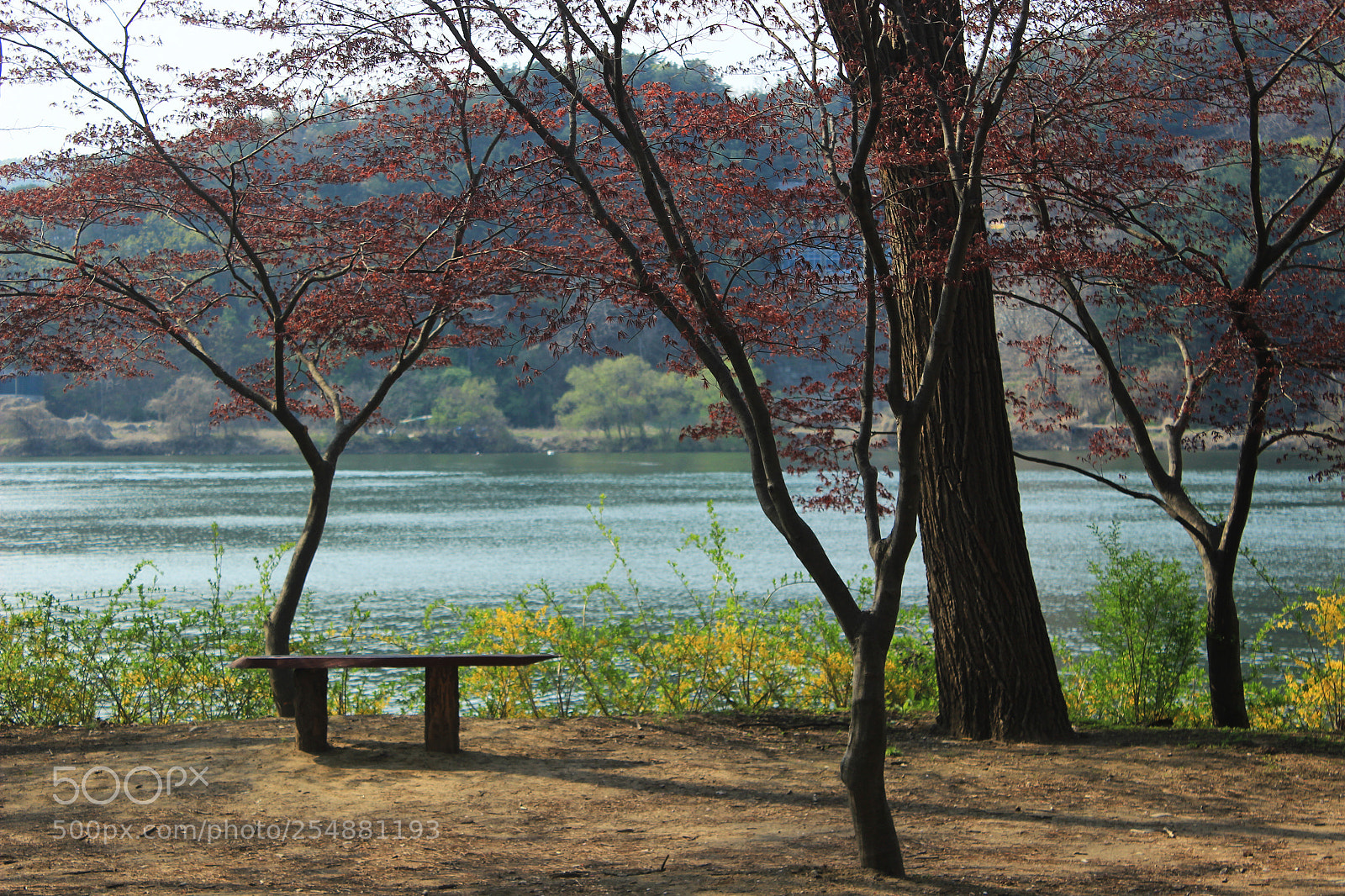 Canon EOS 600D (Rebel EOS T3i / EOS Kiss X5) sample photo. Peace photography