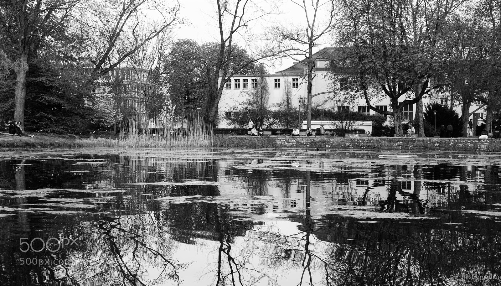Sony a6000 sample photo. Stadtgarten essen photography