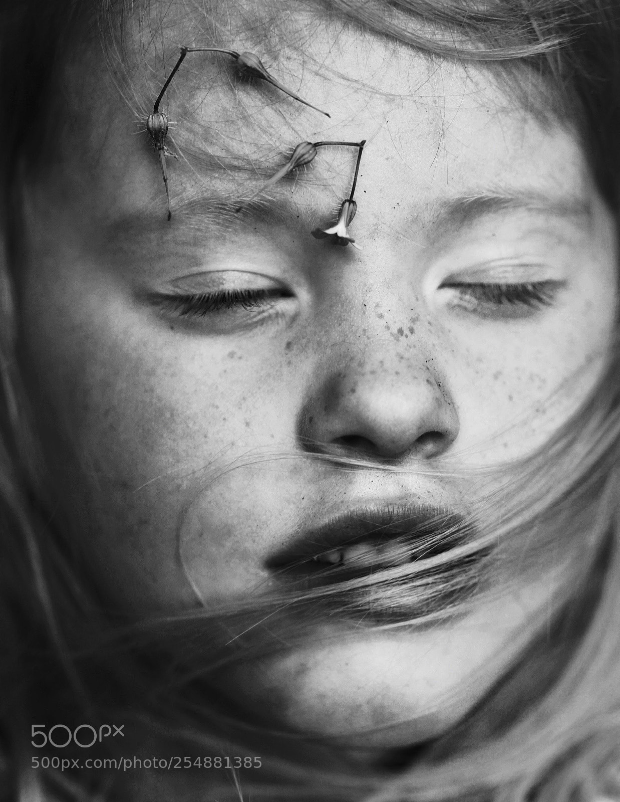 Canon EOS 5D Mark II sample photo. ''blind intuition'' photography