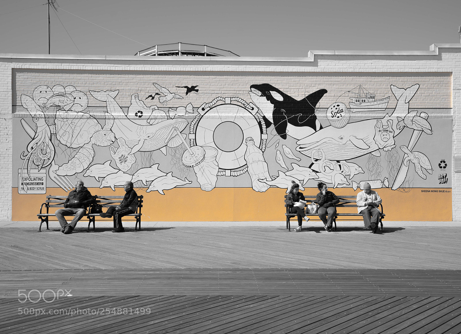 Sony a7 III sample photo. Bench_black n white #3 photography