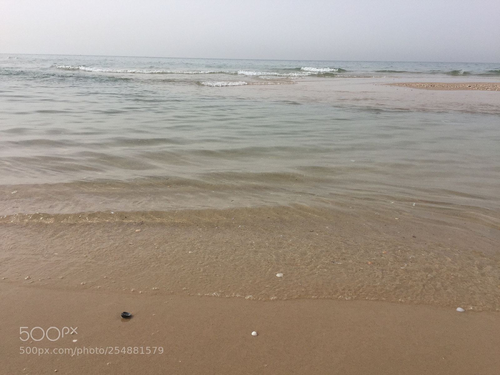 Apple iPhone 6 sample photo. Untitled photography