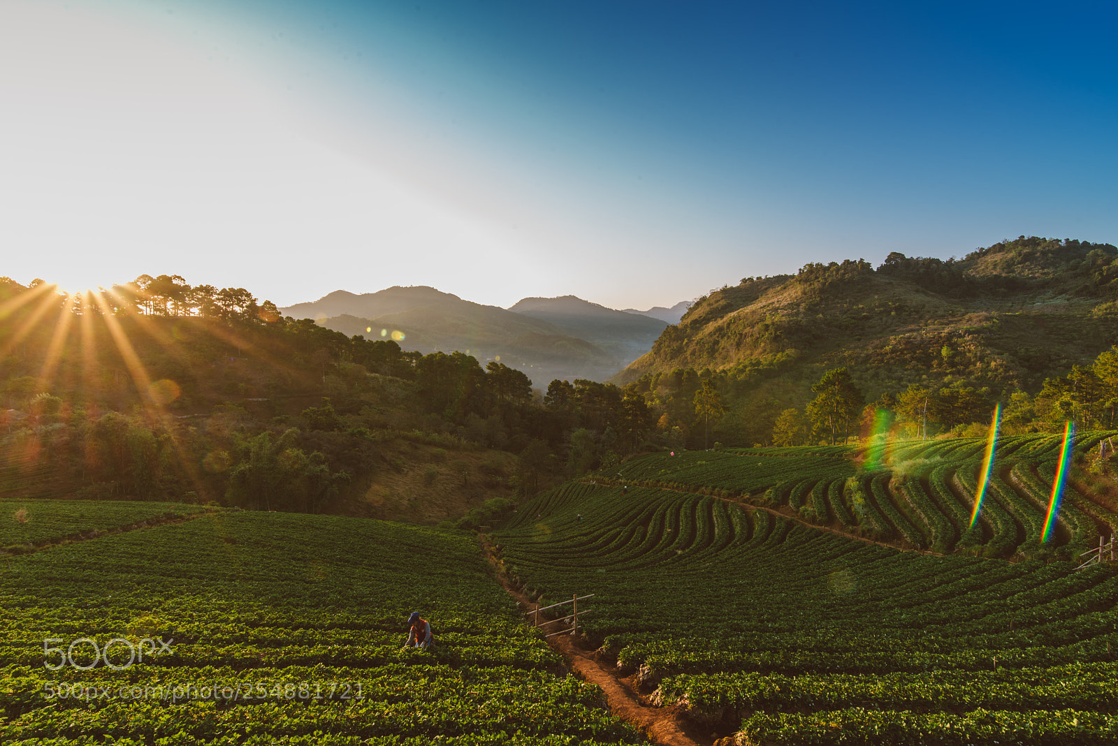 Nikon D800 sample photo. Cnx photography