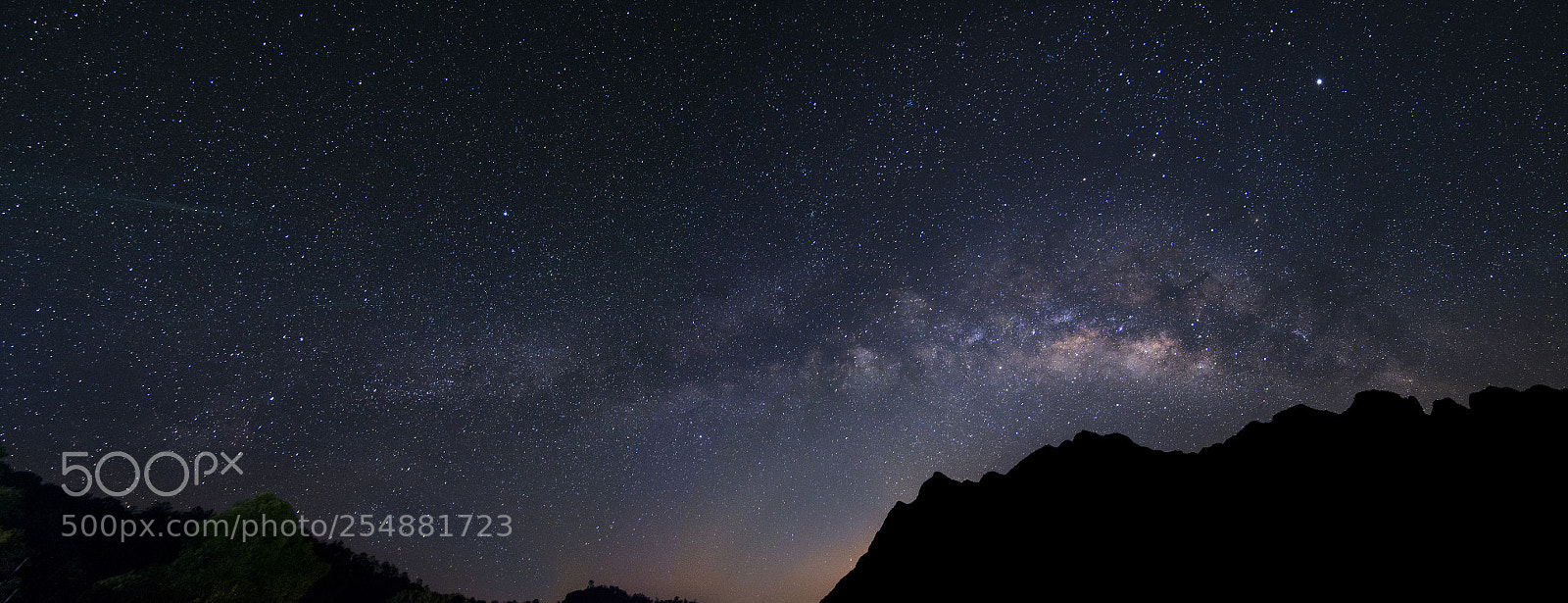 Nikon D800 sample photo. Star panorama photography