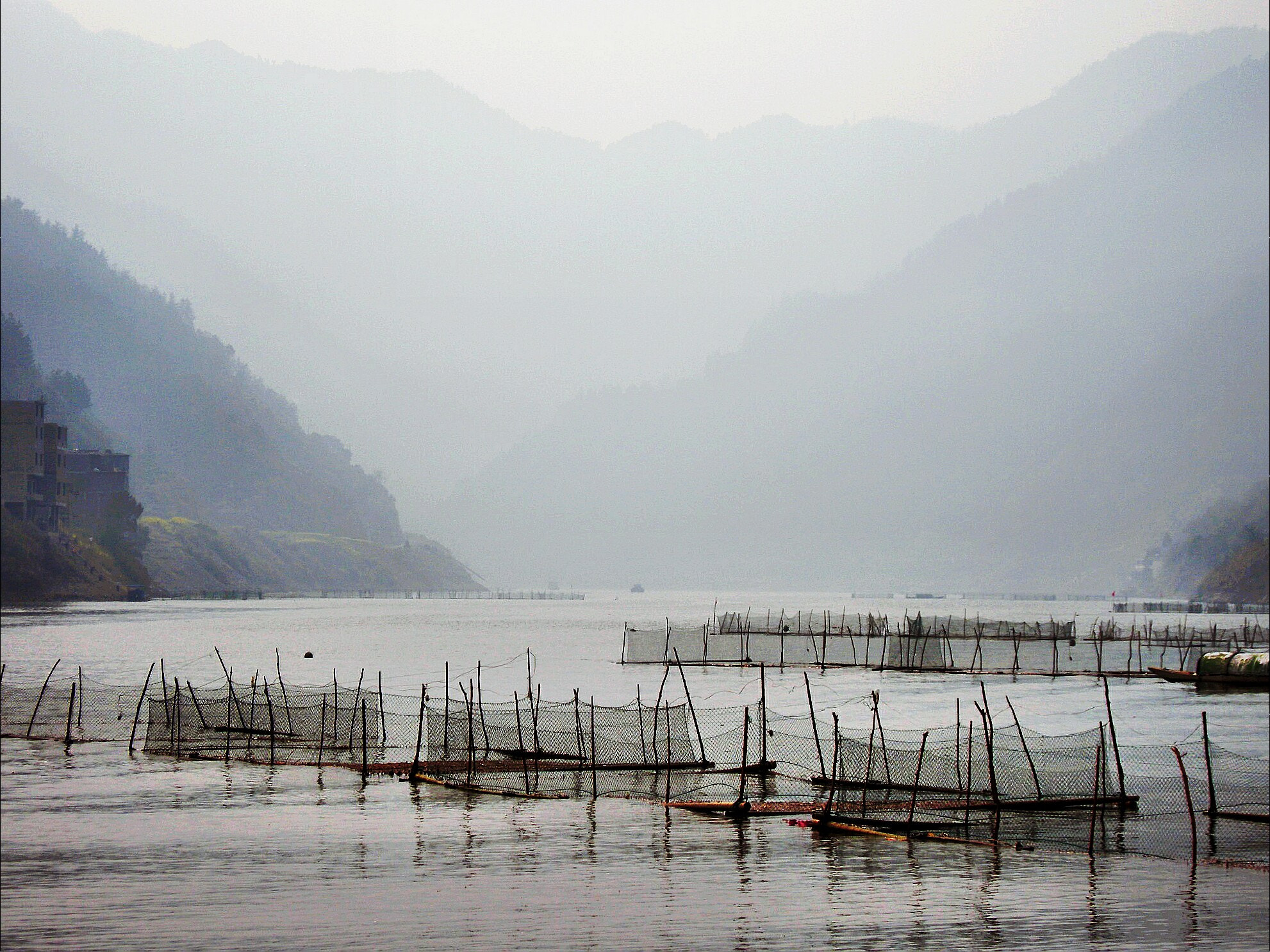 Nikon COOLPIX P5100 sample photo. Spring of qian dao hu lake, 2 photography