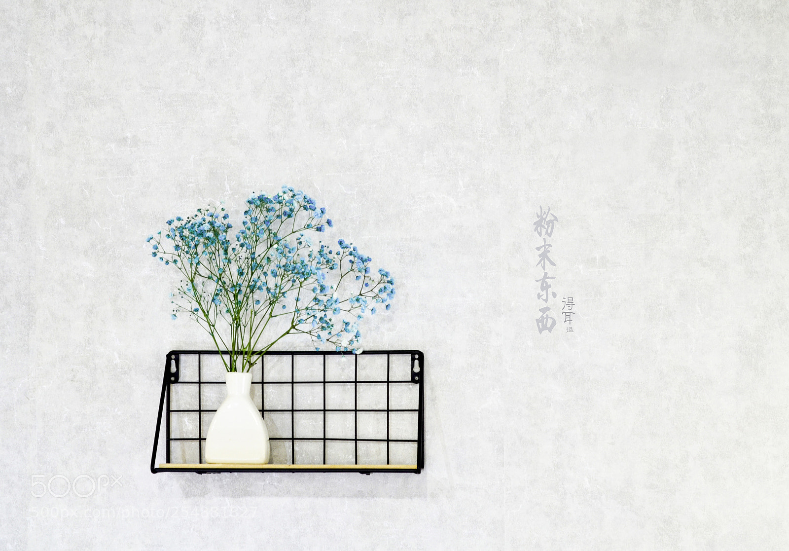 Nikon D7000 sample photo. 粉末东西得耳 photography