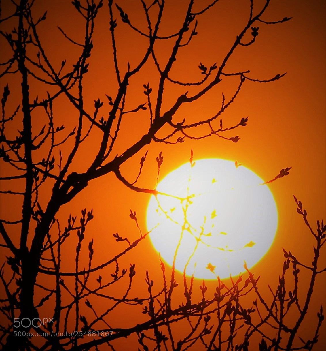 Canon EOS 7D Mark II sample photo. Sunset photography