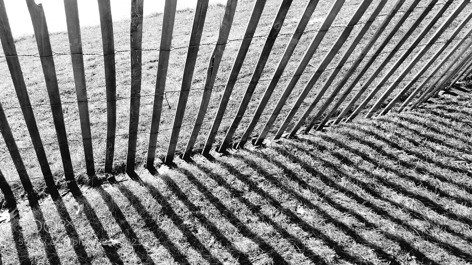 Samsung Galaxy S8 sample photo. Fence shade photography