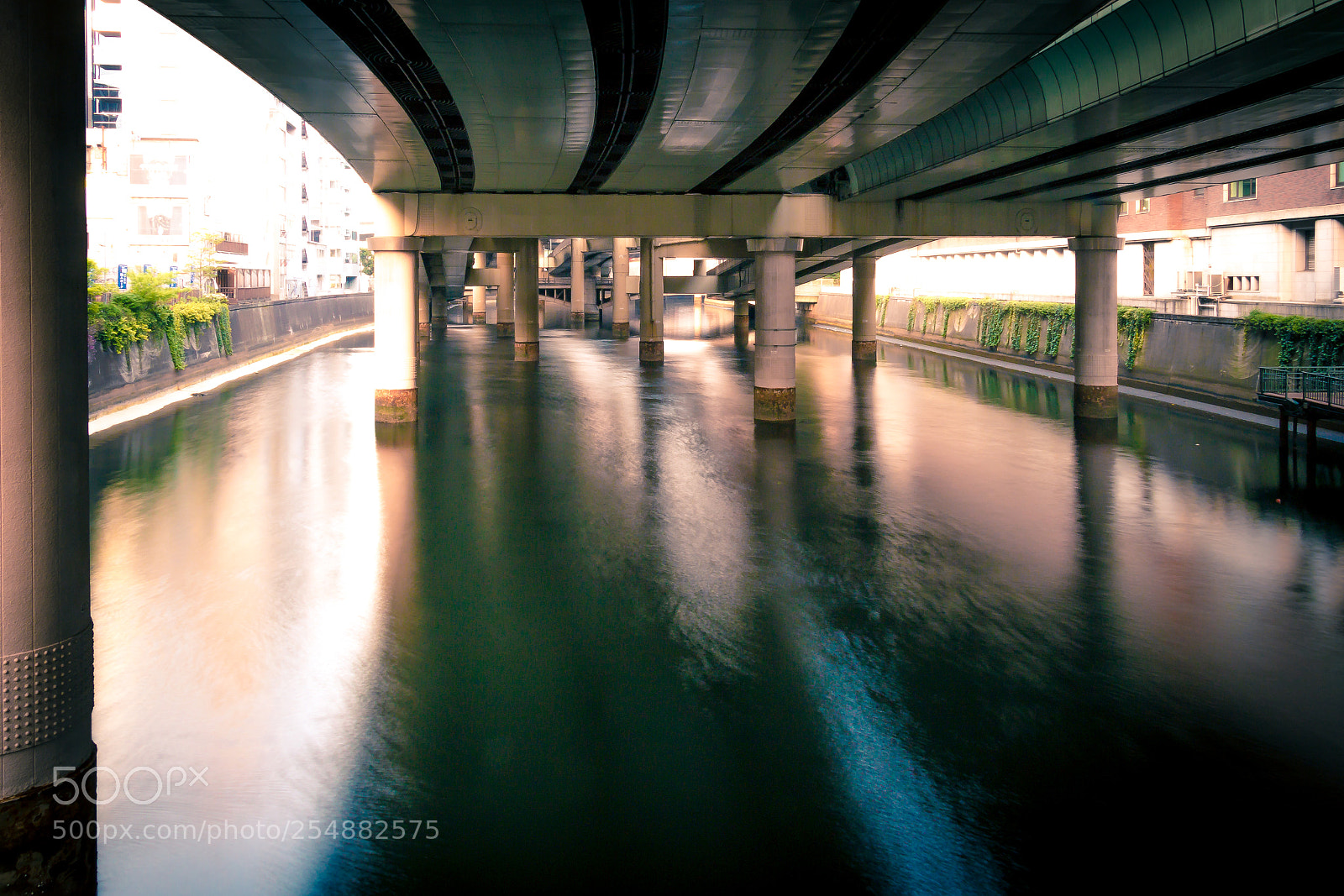 Canon EOS 70D sample photo. Bridge photography