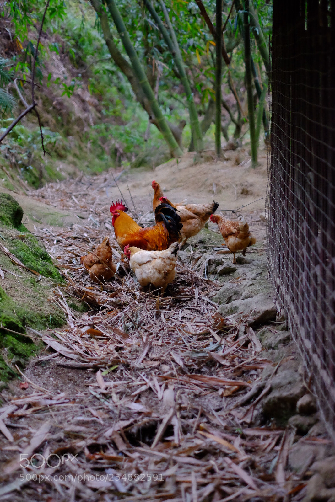 Fujifilm X-T1 sample photo. Untitled photography