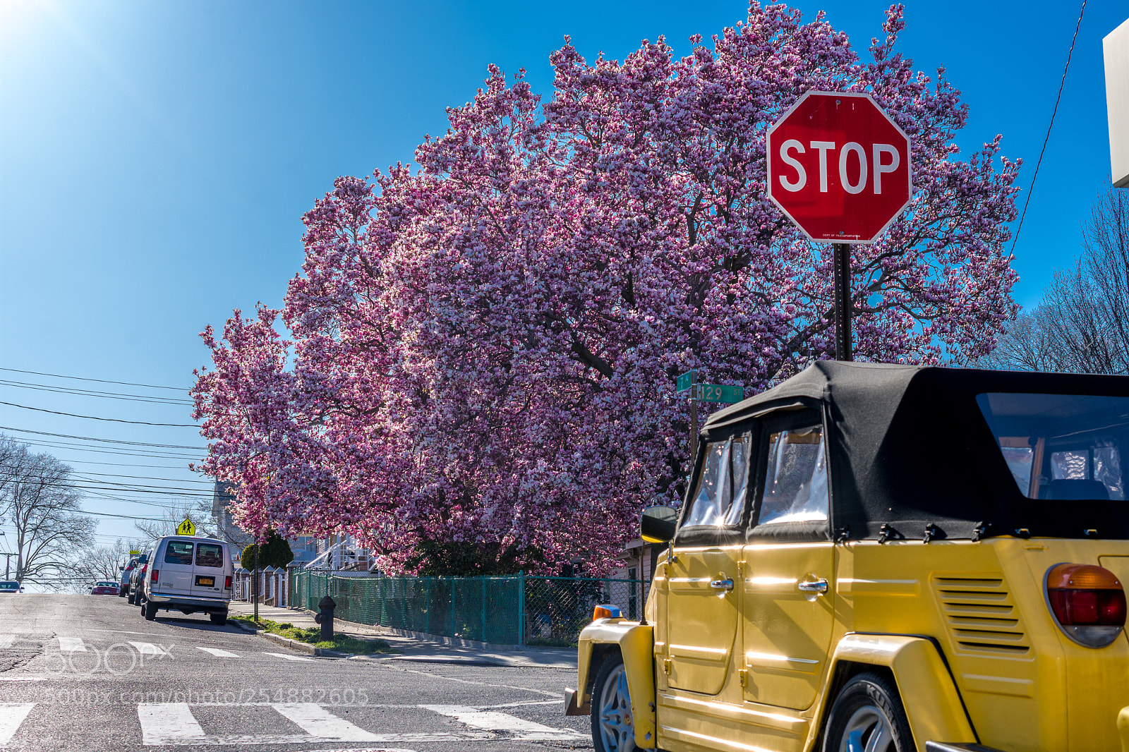 Nikon D7200 sample photo. Magnolias photography
