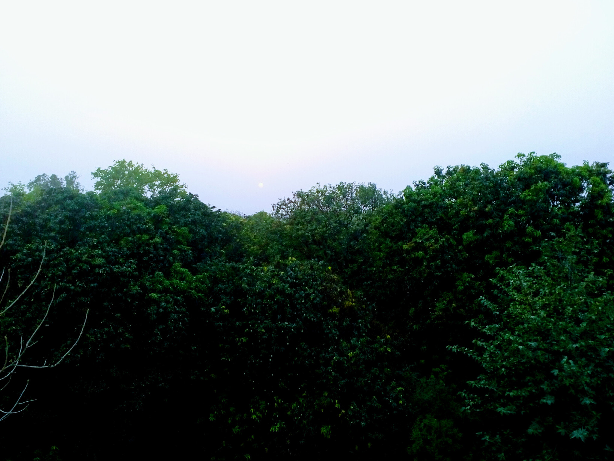 Motorola Moto E3 Power sample photo