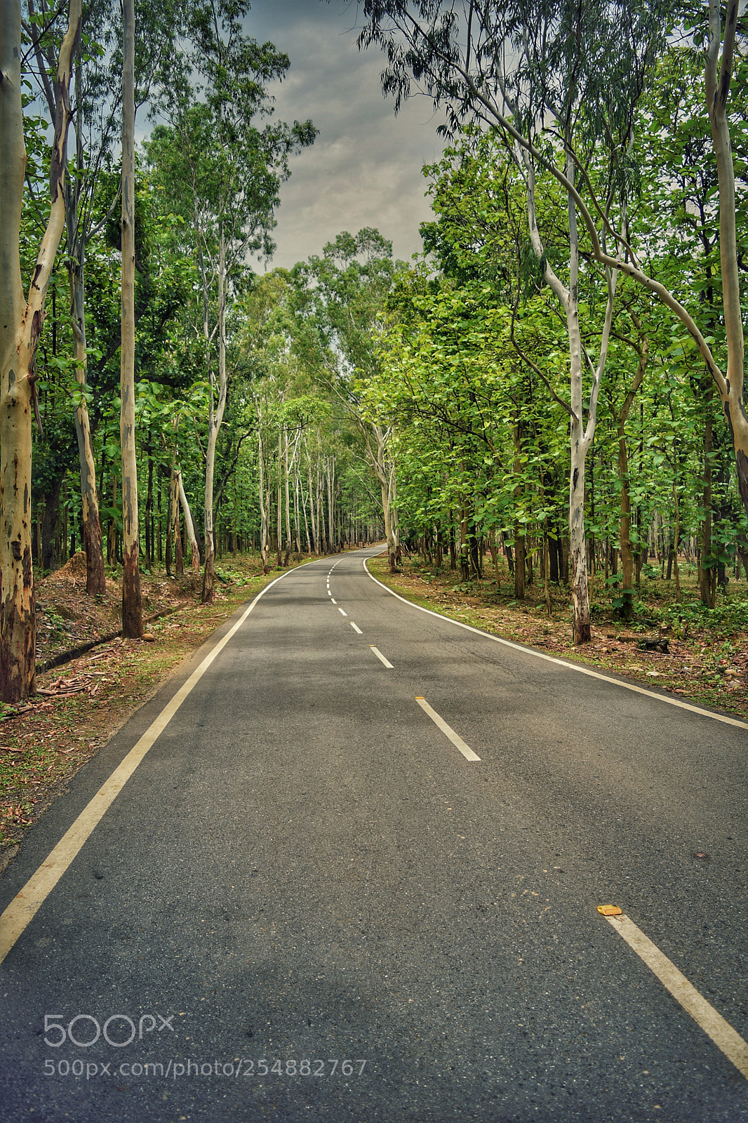 Nikon D3300 sample photo. Road photography
