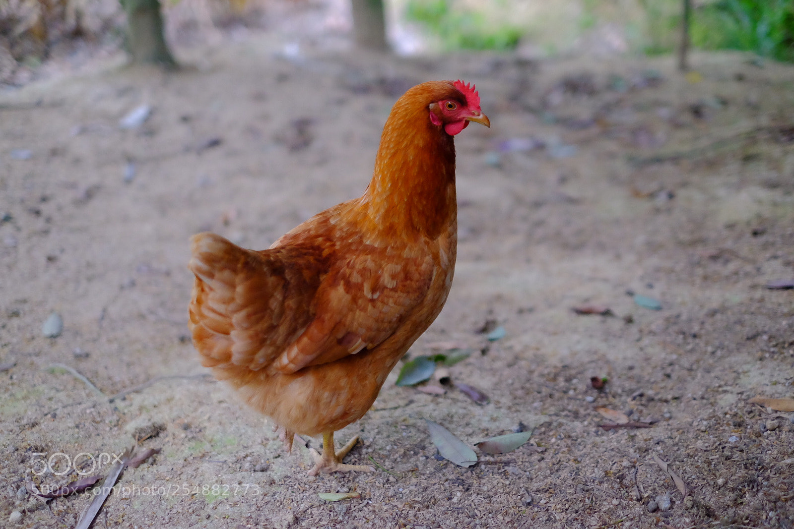 Fujifilm X-T1 sample photo. Untitled photography
