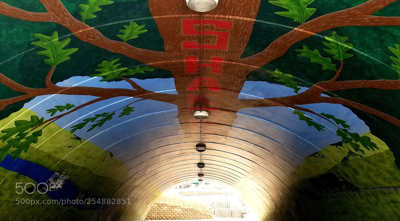 Samsung Galaxy S8 sample photo. Shakopee tunnel photography