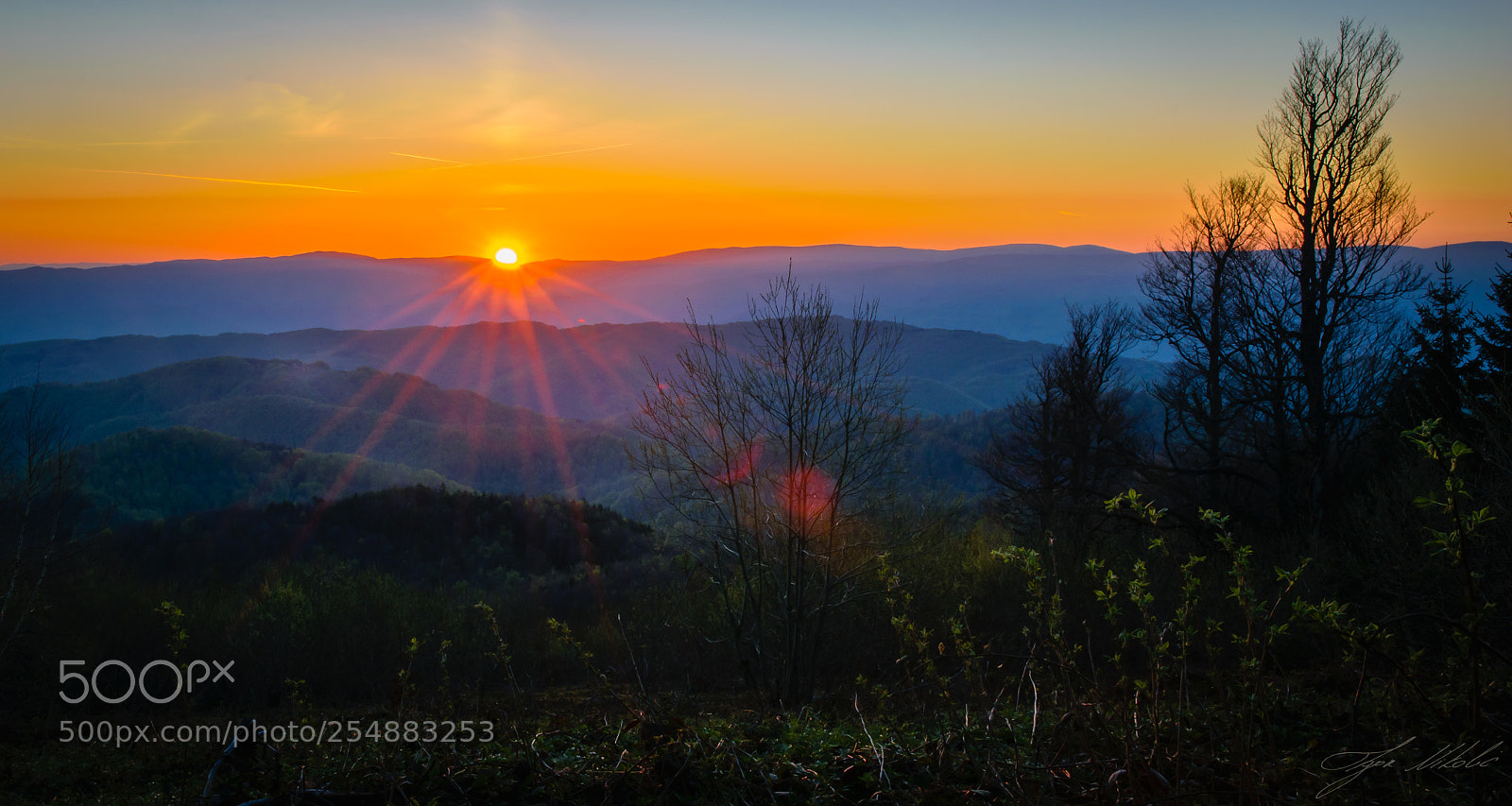Nikon D5300 sample photo. Good morning sunshine (of ) photography