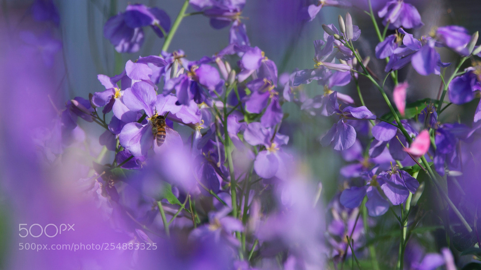 Sony a6000 sample photo. Untitled photography