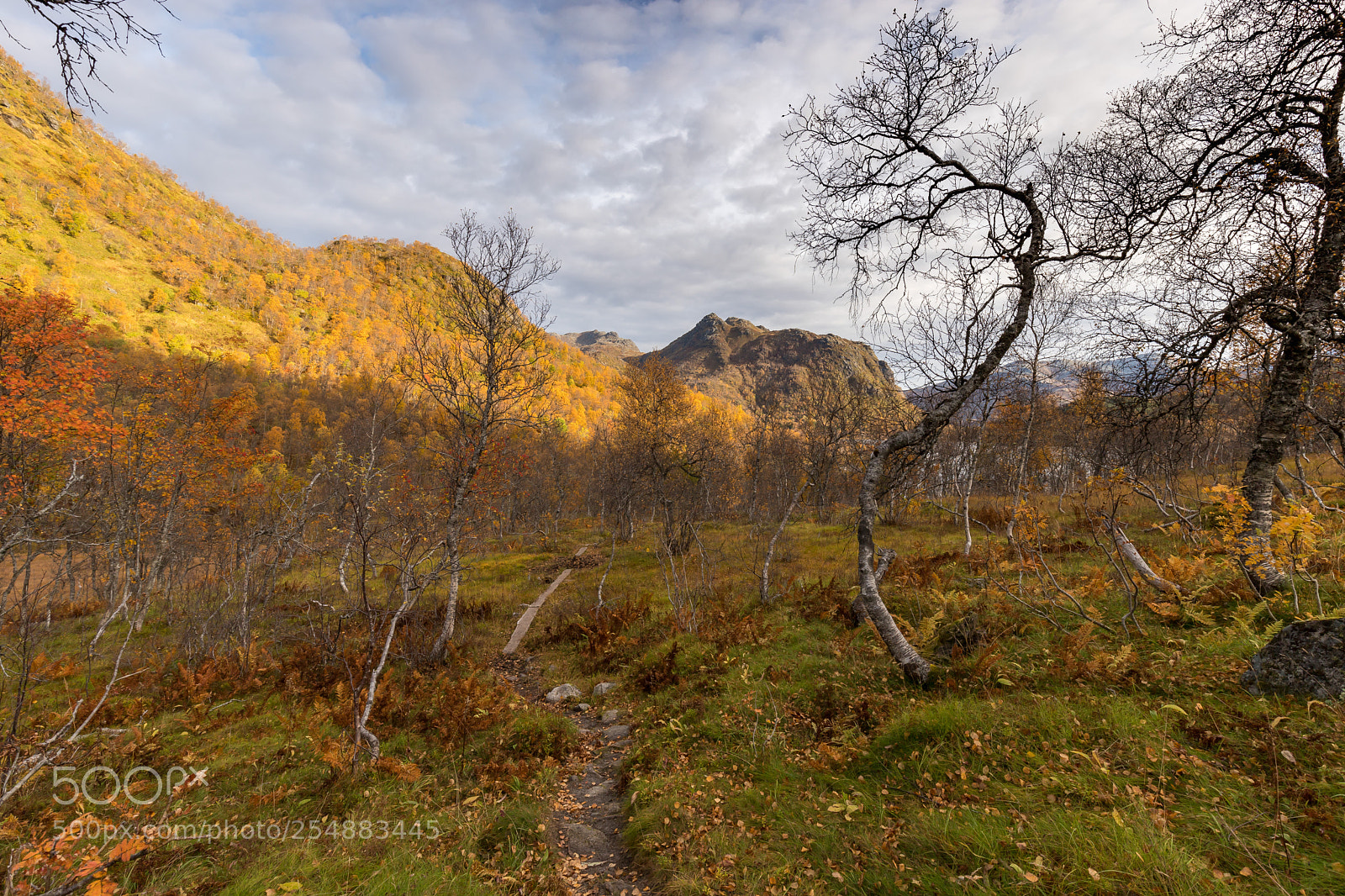 Canon EOS 6D Mark II sample photo. Autumn colors photography