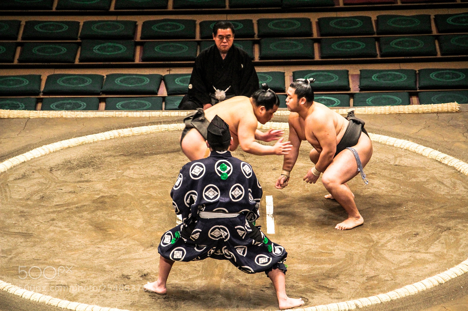 Canon EOS 60D sample photo. Sumo photography