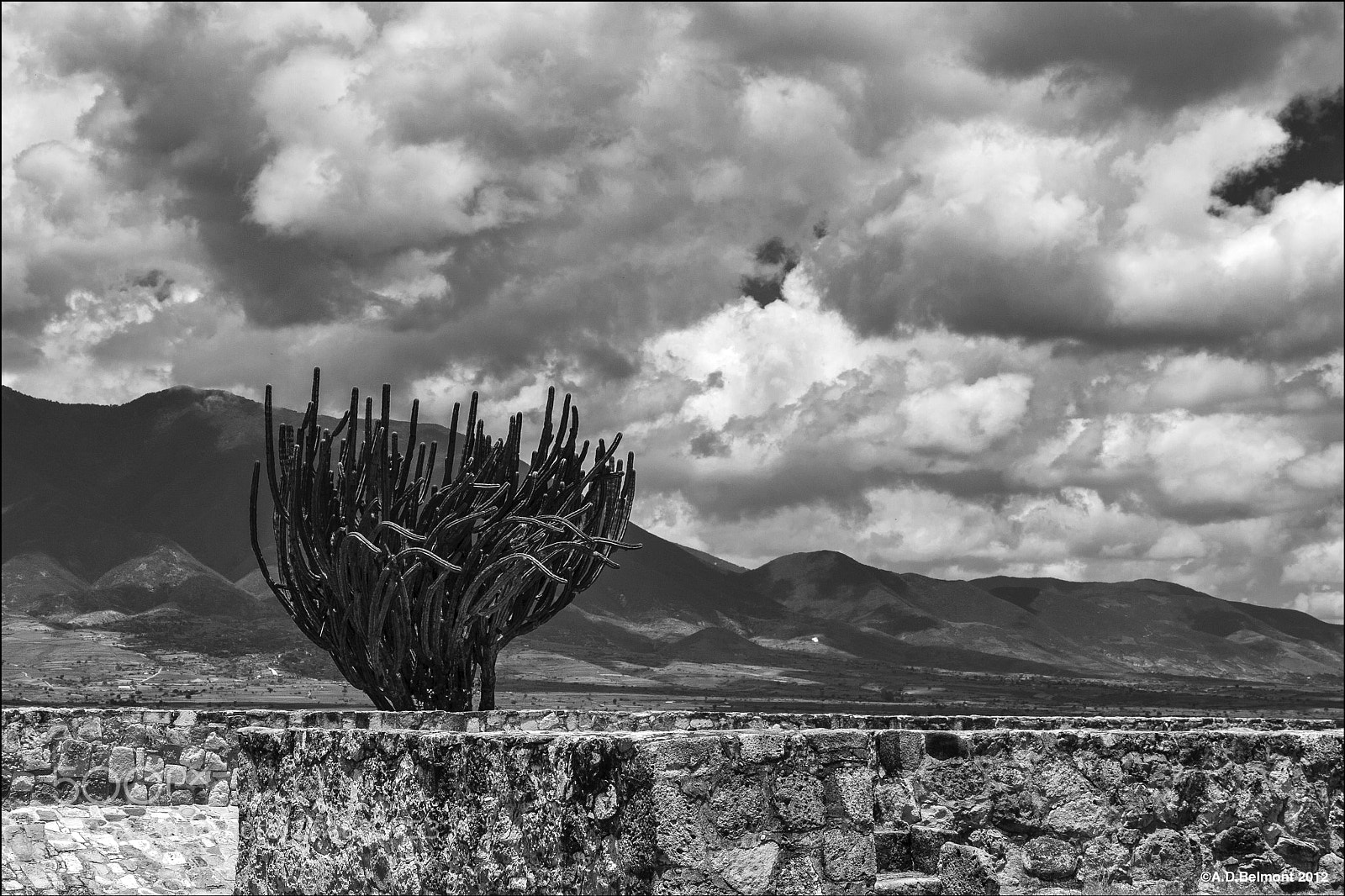 Canon EOS 40D sample photo. Etla, oaxaca photography