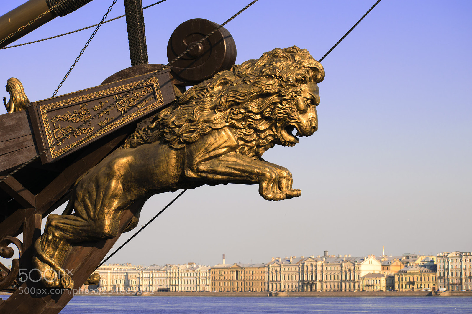 Nikon D5300 sample photo. Lion in the city photography