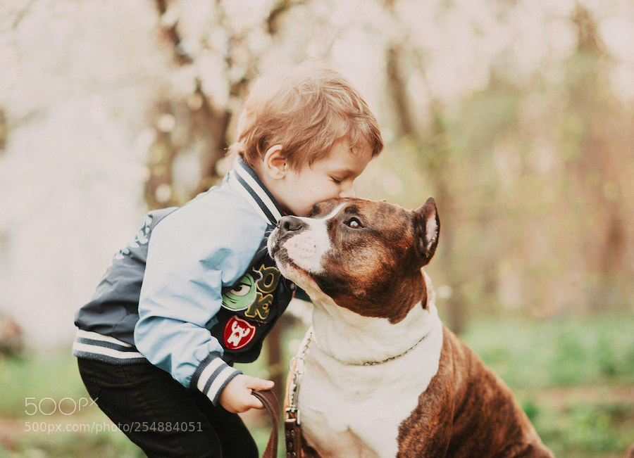Nikon D800 sample photo. м — копия photography