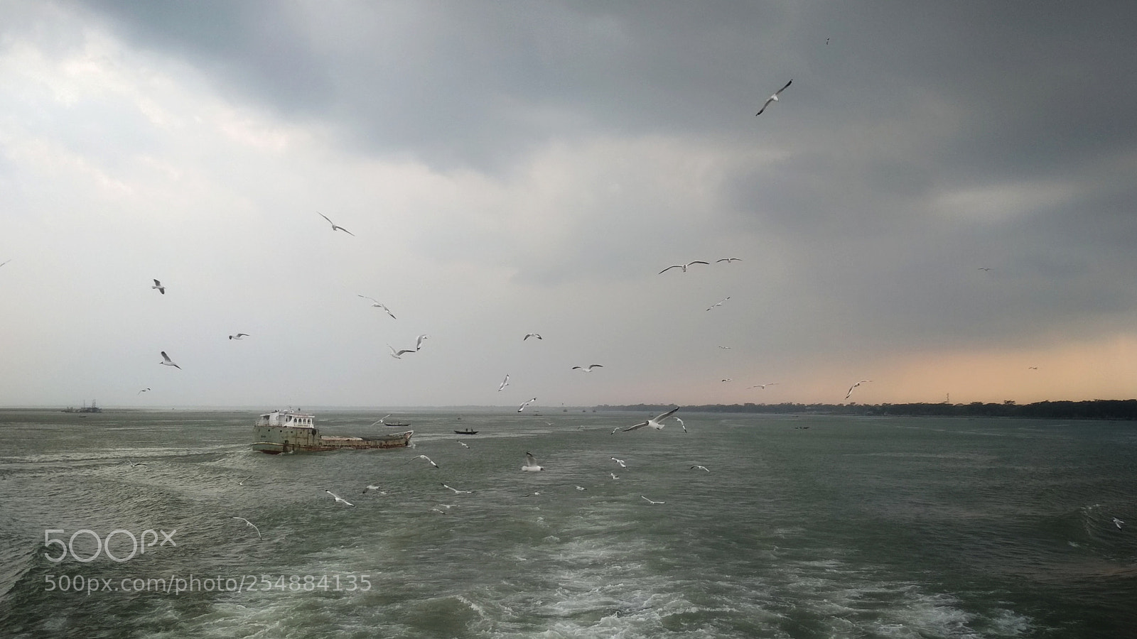 Xiaomi Redmi 4X sample photo. To the infinity.. photography