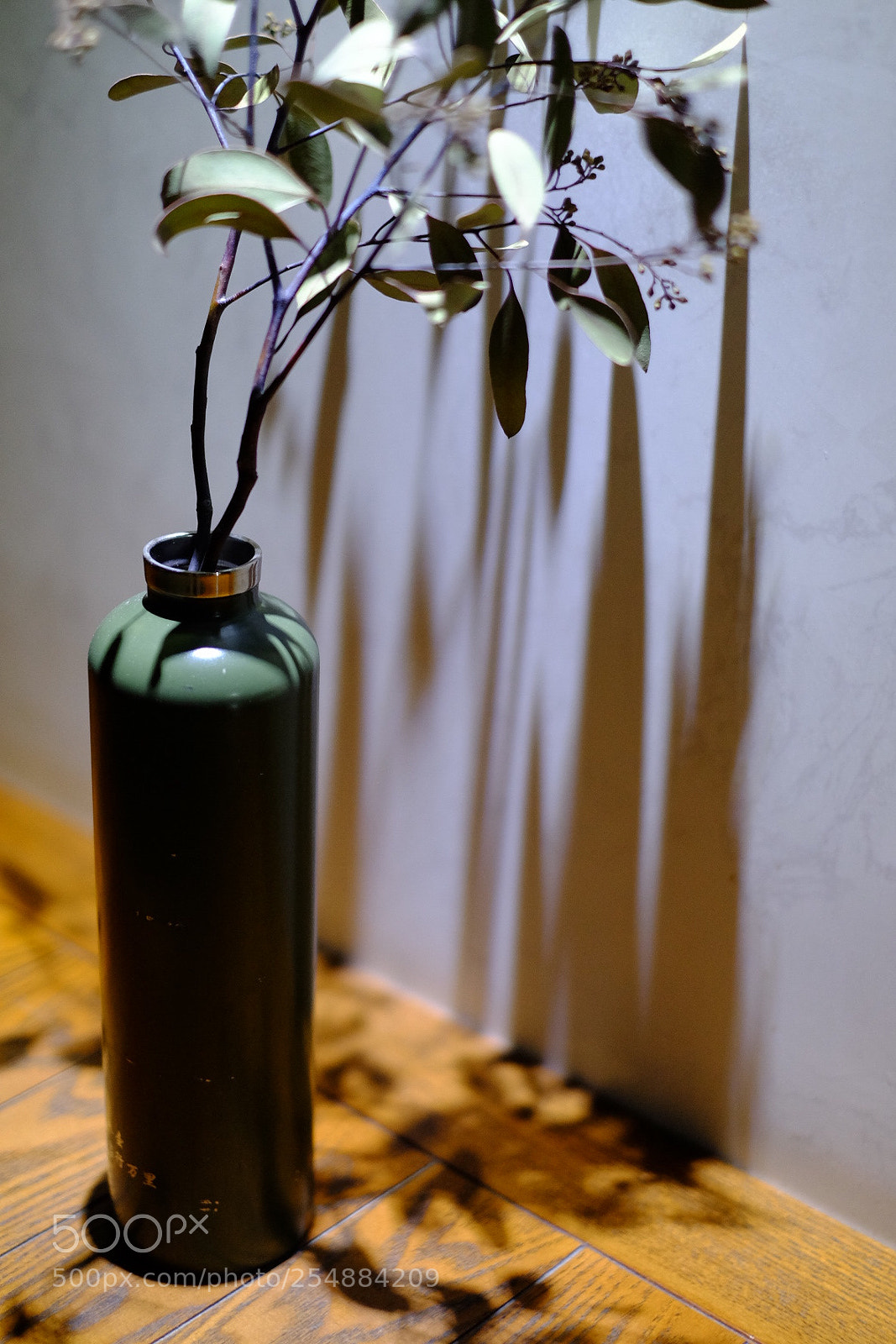 Fujifilm X-T1 sample photo. Untitled photography