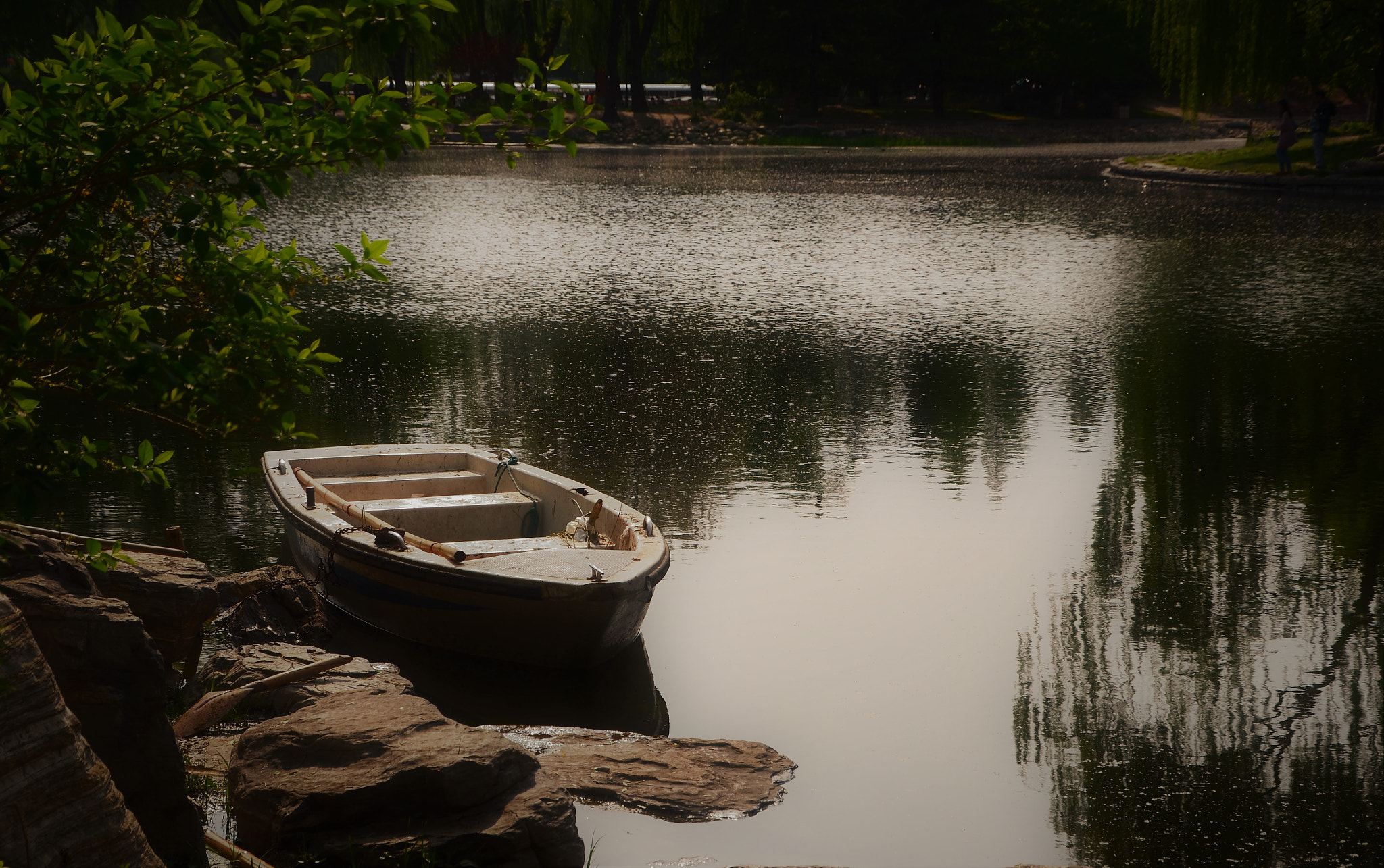 Nikon D7000 sample photo