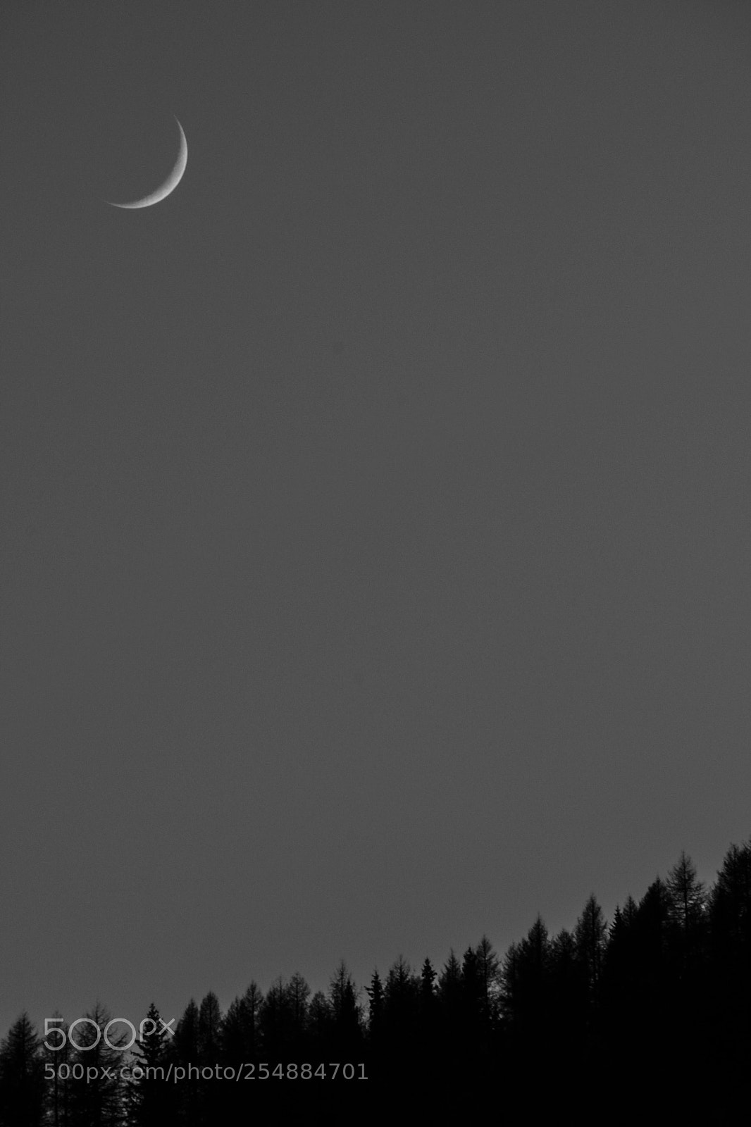 Canon EOS 550D (EOS Rebel T2i / EOS Kiss X4) sample photo. Moon watching the woods photography