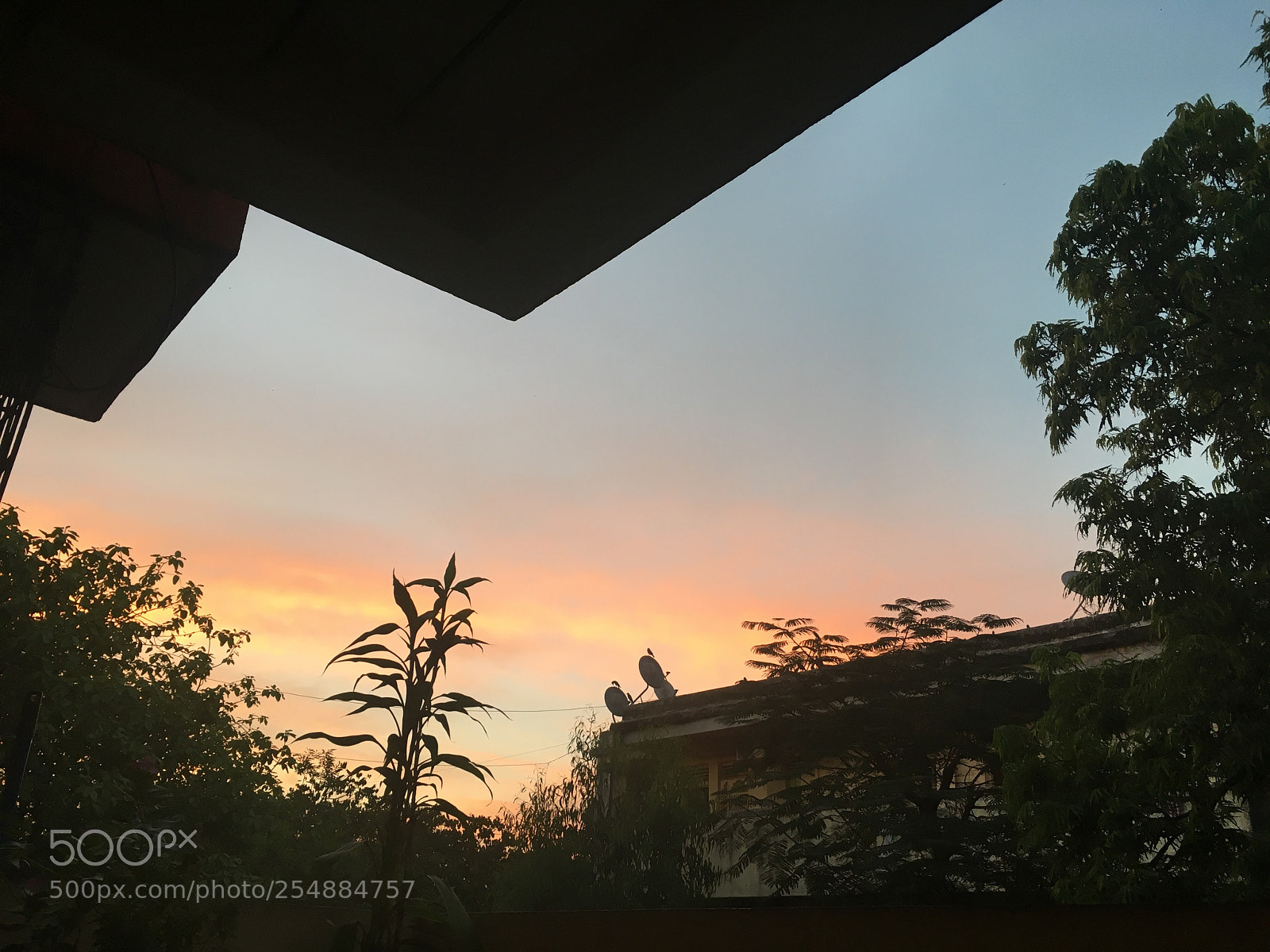 Apple iPhone SE sample photo. Perfect evening sky  photography