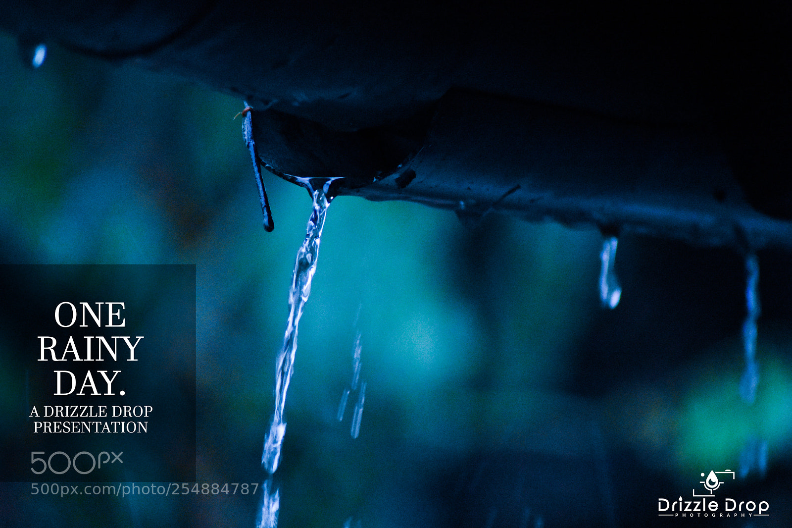 Nikon D7200 sample photo. A drizzle drop photo photography