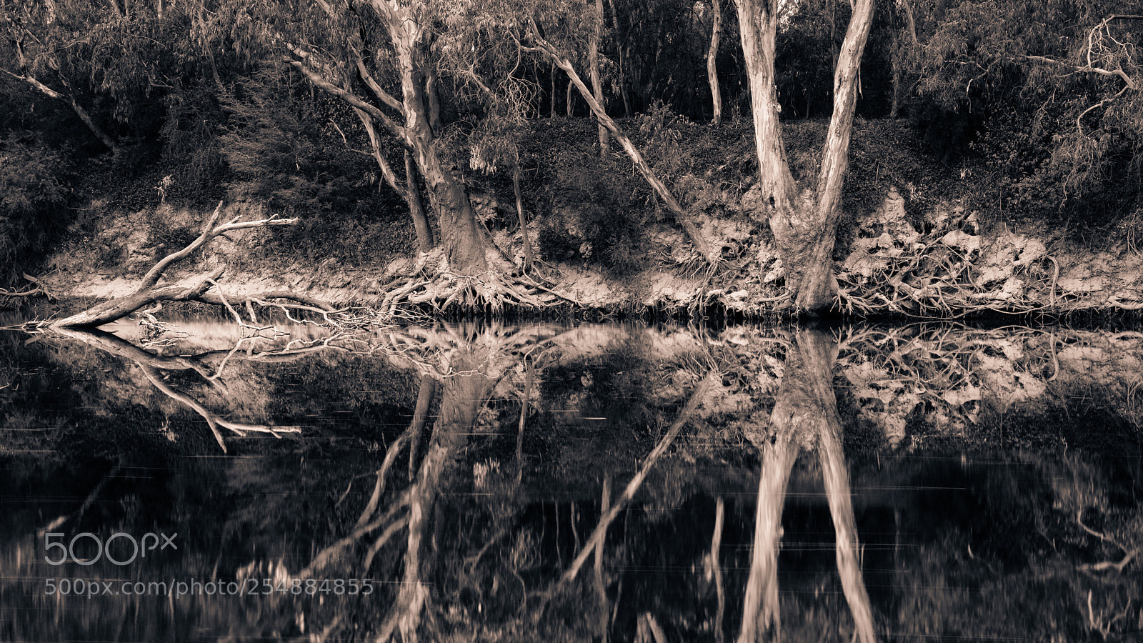 Canon EOS 5D Mark IV sample photo. Yarra river reflections photography