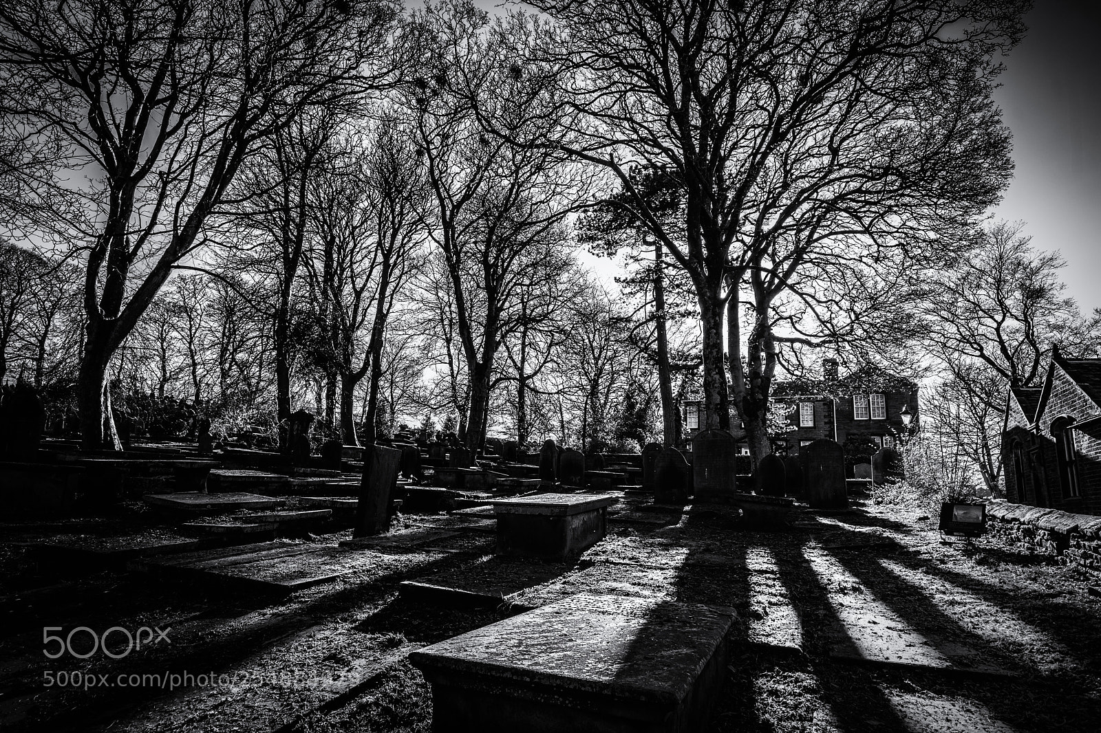 Nikon D7200 sample photo. St michaels and all photography