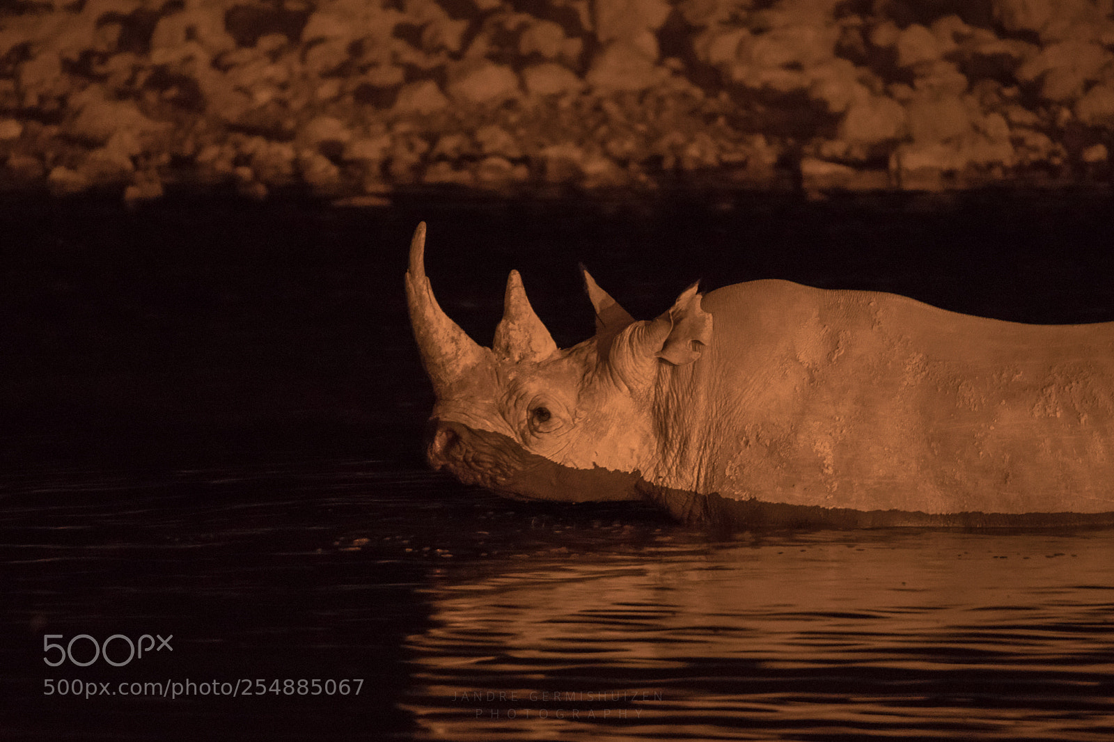 Canon EOS 5D Mark IV sample photo. Wilderness photography