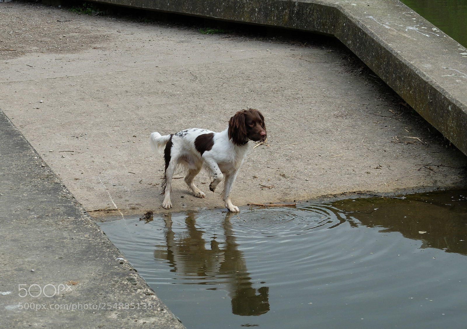 Fujifilm X20 sample photo. Not sure if photography