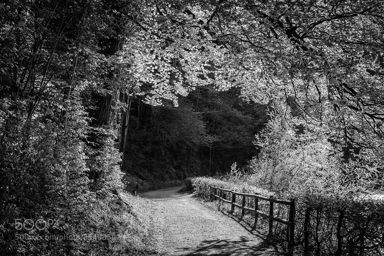Fujifilm X100T sample photo. New day photography