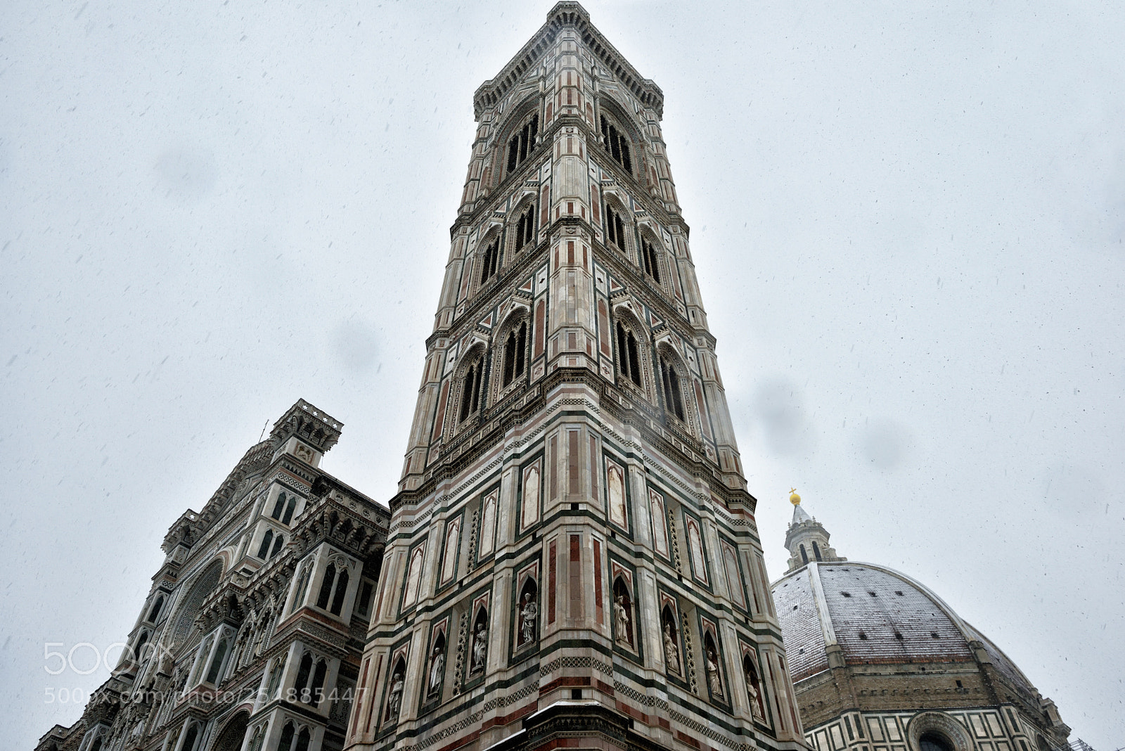 Nikon D810 sample photo. Florence white 01/03/2018 viii photography