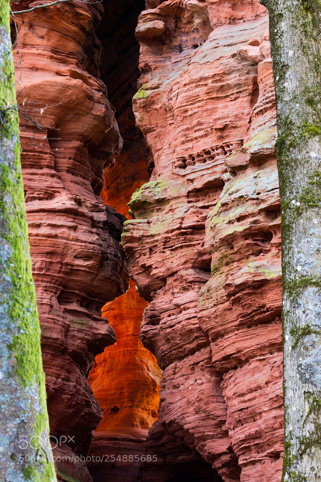 Nikon D7200 sample photo. Glowing altschlossfelßen photography
