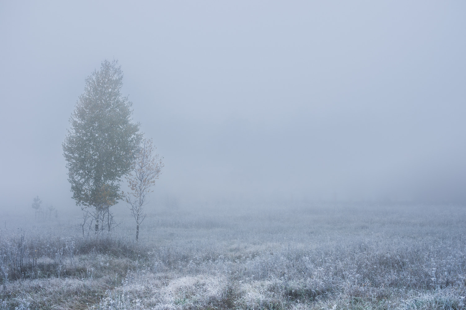 Samsung NX100 sample photo. Foggy morning photography