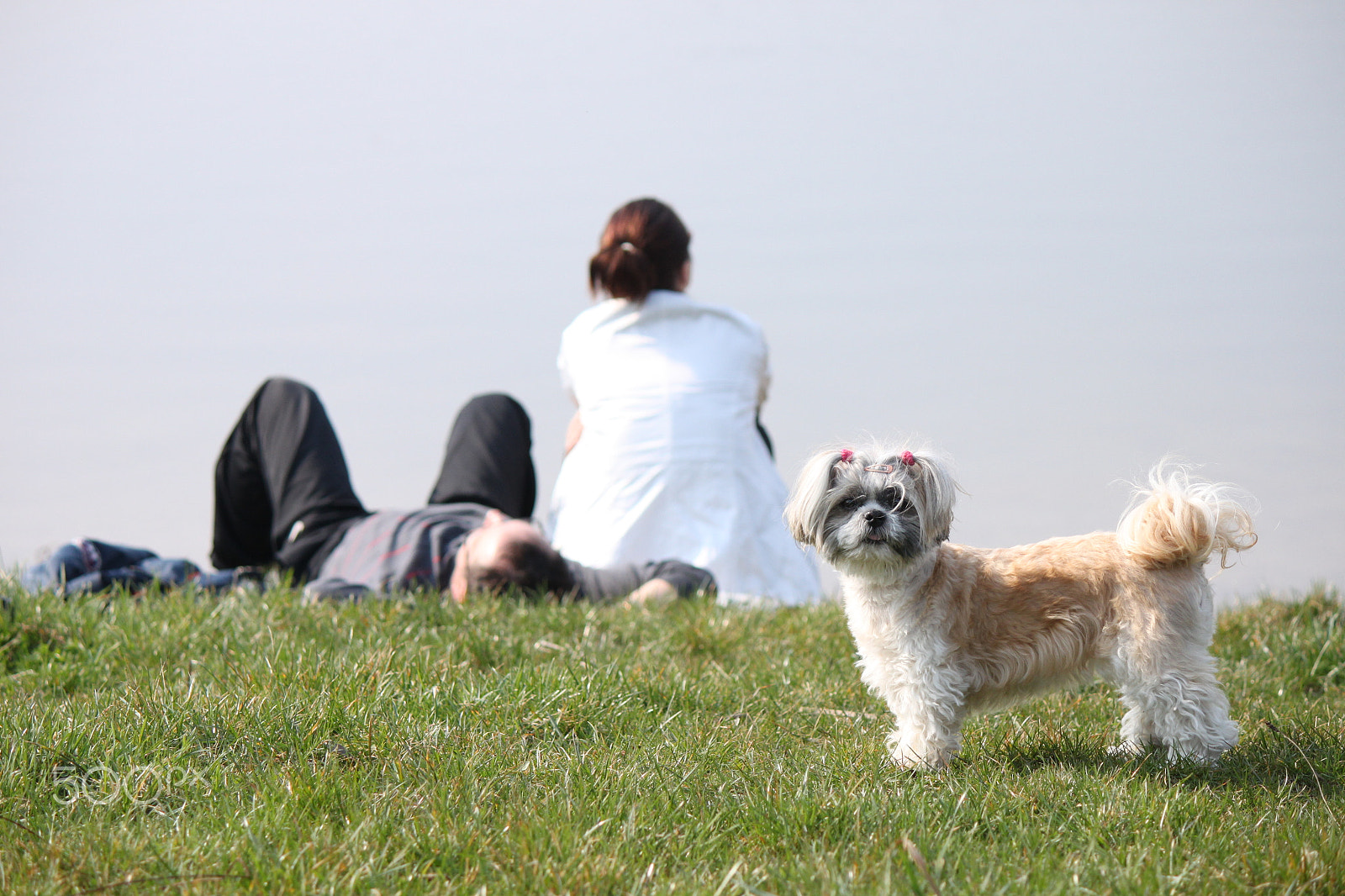 Canon EOS 500D (EOS Rebel T1i / EOS Kiss X3) sample photo. At the lake photography