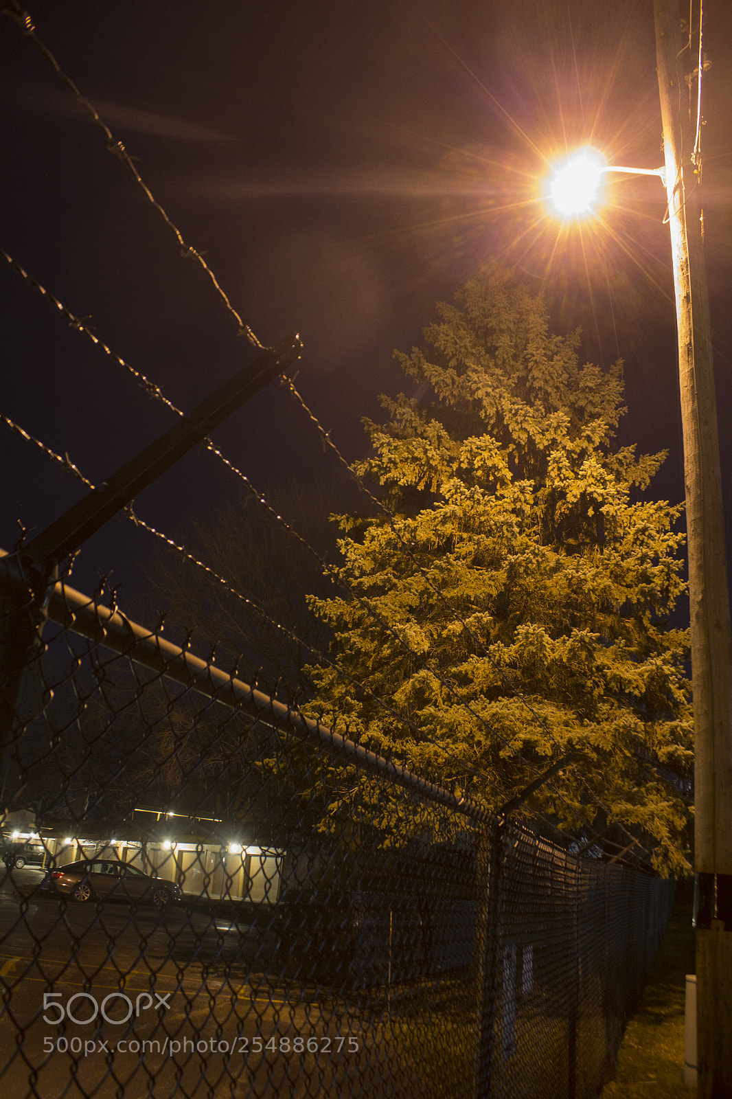 Canon EOS 1200D (EOS Rebel T5 / EOS Kiss X70 / EOS Hi) sample photo. Fence tree and street photography