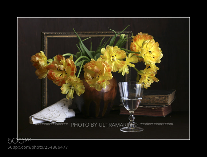 Canon EOS 5D sample photo. - photography