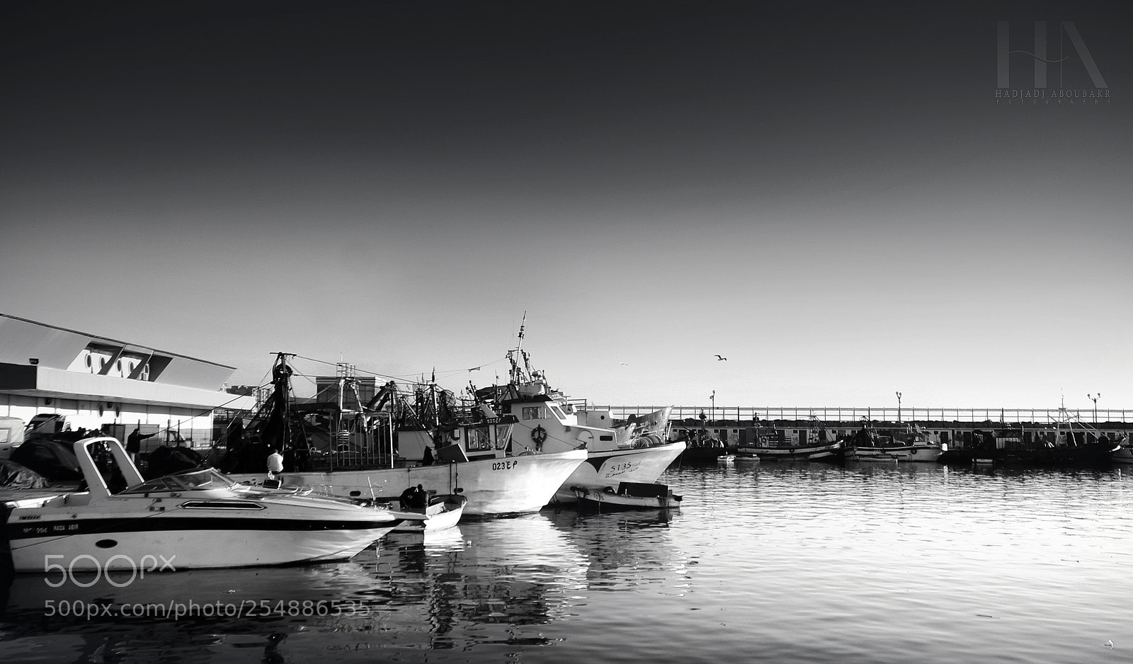 Canon EOS 600D (Rebel EOS T3i / EOS Kiss X5) sample photo. Newport of salamnder mosta photography